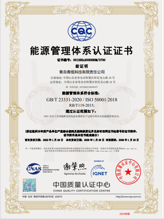 能源管理體系認證證書(圖1)